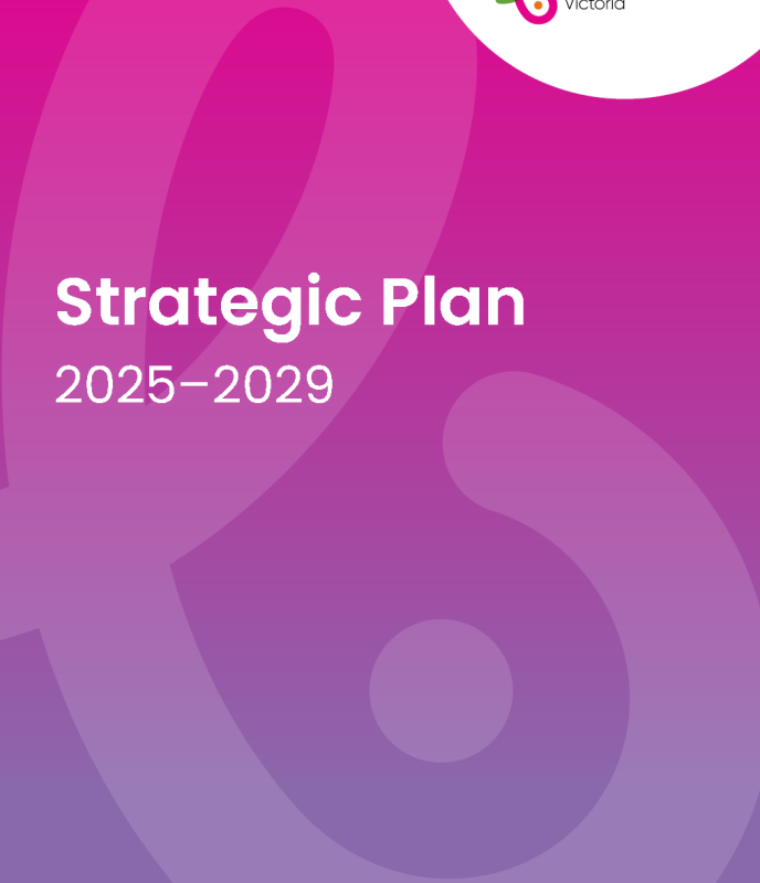 thumbnail BSV strategic plan 2025 2029 cover page