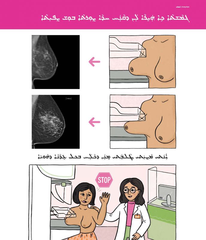 Assyrian Compression cover