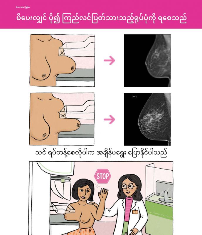 Burmese Compression cover