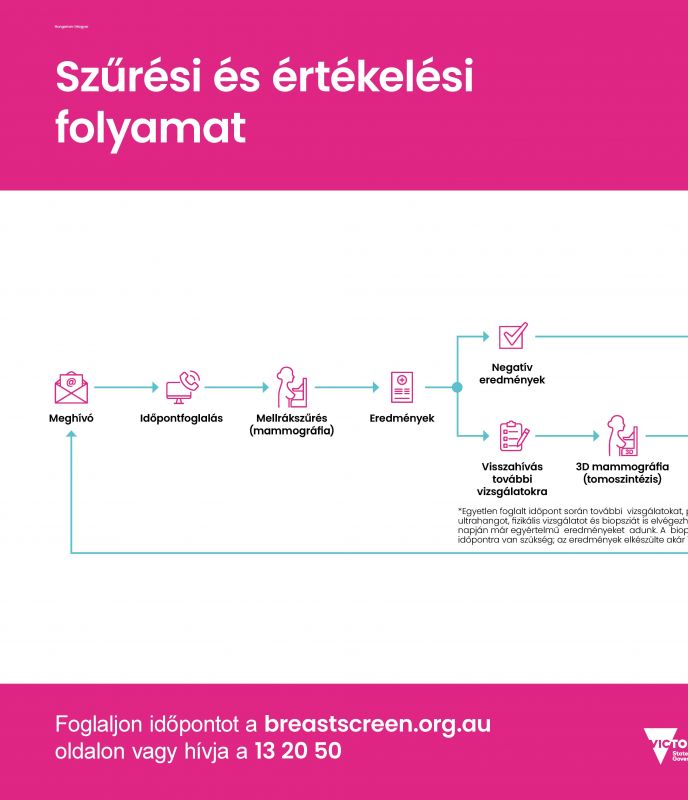 hungarian screening and assessment pathway 