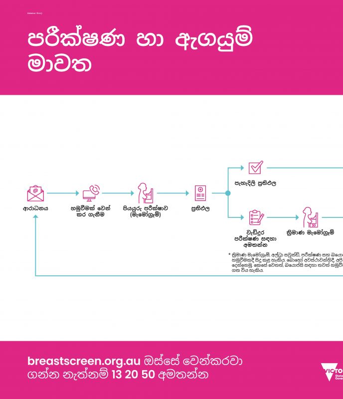 Sinhalese screening and assessment pathway