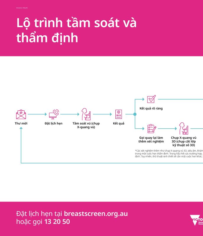 Vietnamese screening and assessment pathway