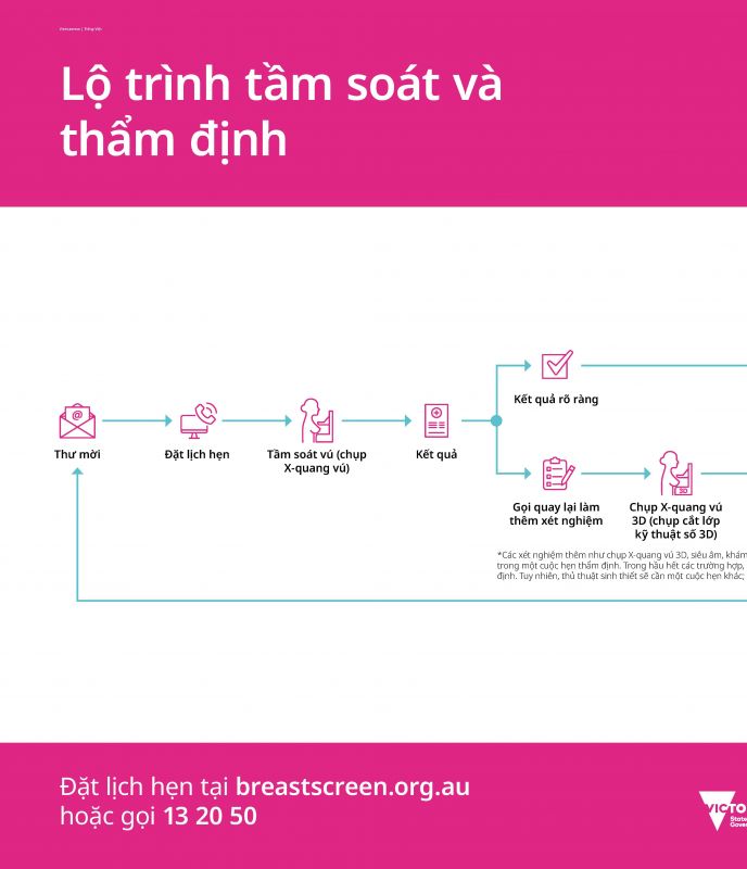 Vietnamese screening and assessment pathway