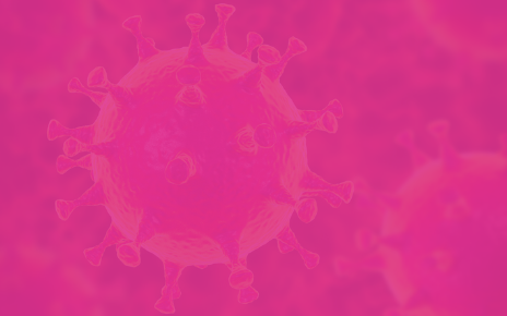 Blank pink Website news item