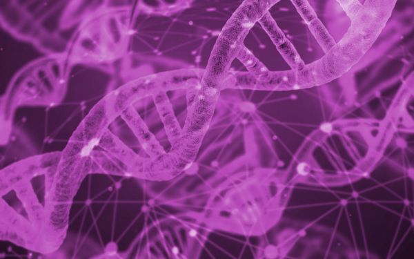 Genetic News v2