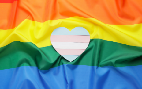Rainbow Tick website